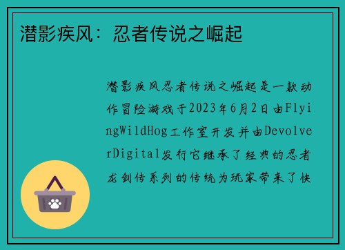 潜影疾风：忍者传说之崛起